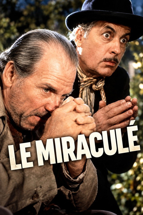 Affiche de Le Miraculé
