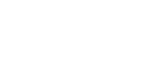 The Tutor