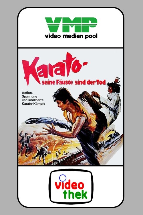 The Fists of Vengeance movie poster player