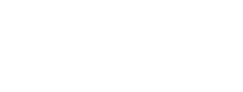 Misión suicida