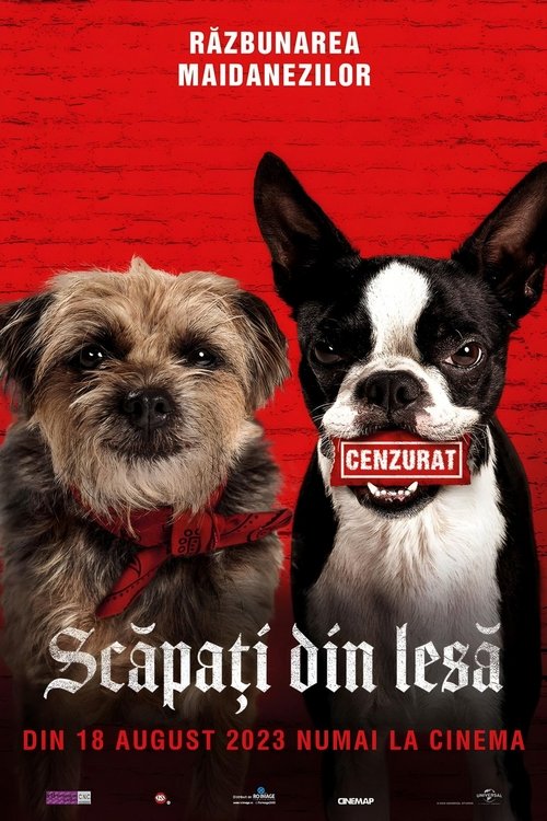 Poster pentru Scăpați din Lesă
