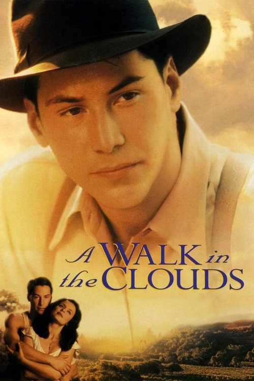 Grootschalige poster van A Walk in the Clouds