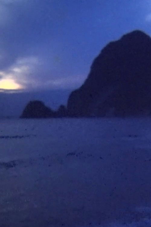 Cartell de Walking Works