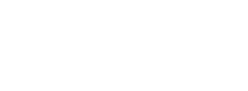 The Bricklayer