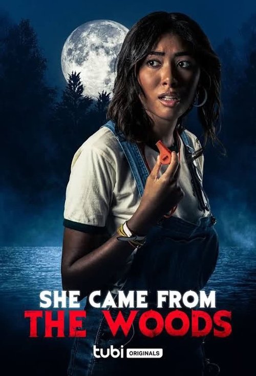Poster 9