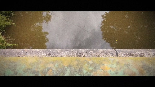 Wandering: The Art of Noticing