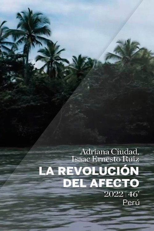 La revolución del afecto