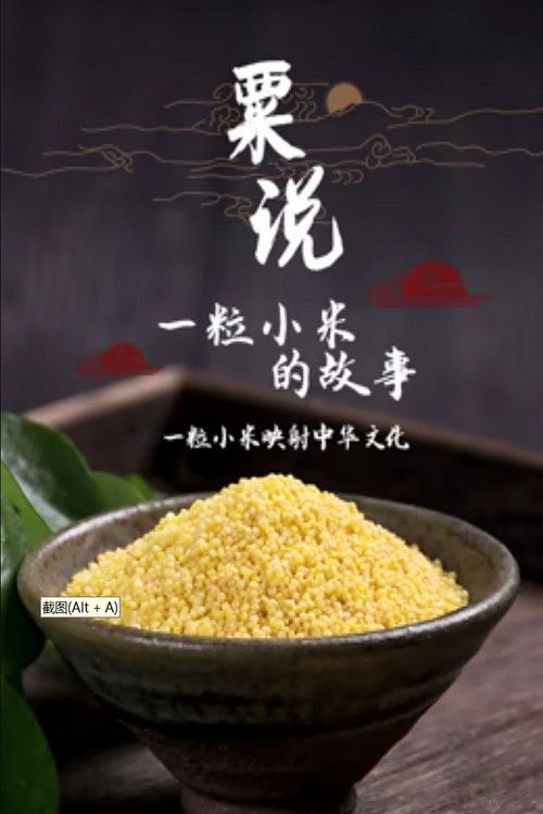 粟说——一粒小米的故事 (2022) poster