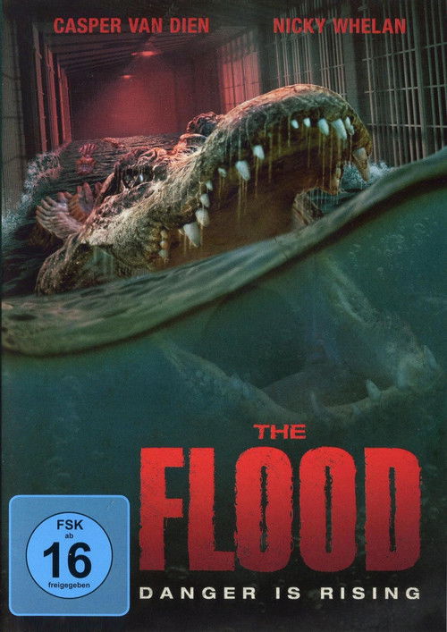 The Flood