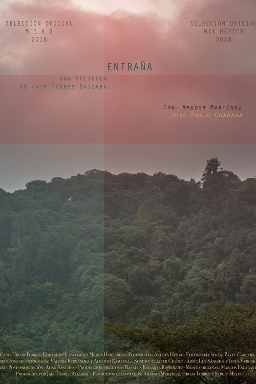 Entraña movie poster player