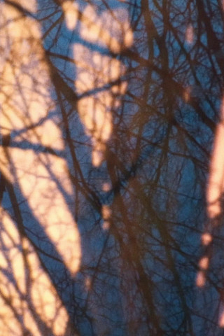 Will O' the Wisp poster