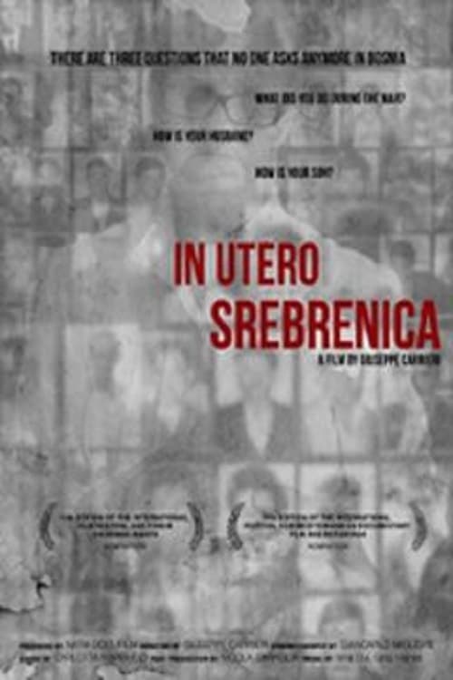 In utero Srebrenica 2013