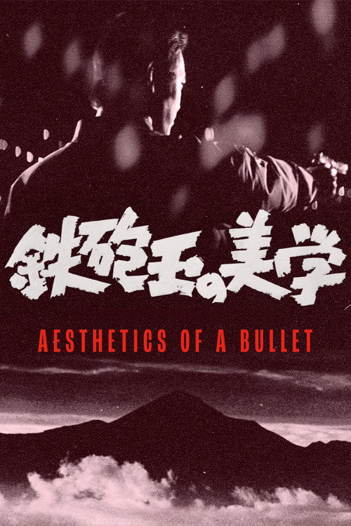 Aesthetics of a Bullet