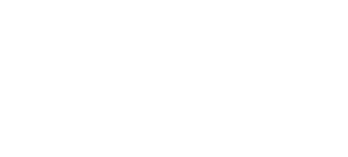 The Princess
