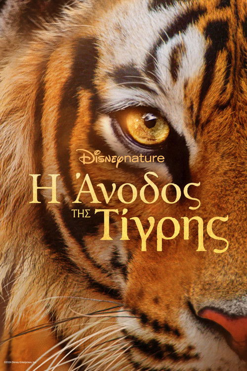 Tigers on the Rise poster