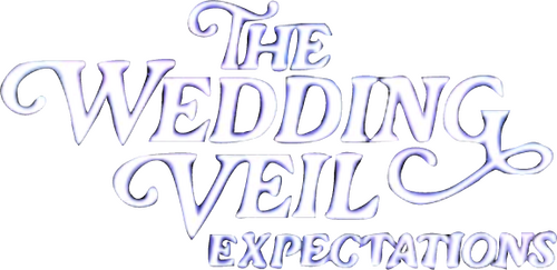 The Wedding Veil Expectations