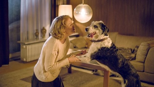 Der Hund begraben Der Hund begraben