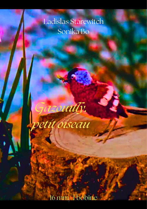 Gazouilli, petit oiseau