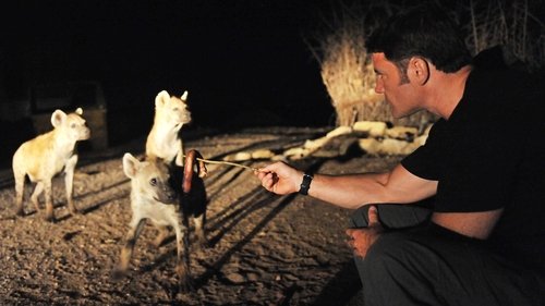 Image de l'épisode 23