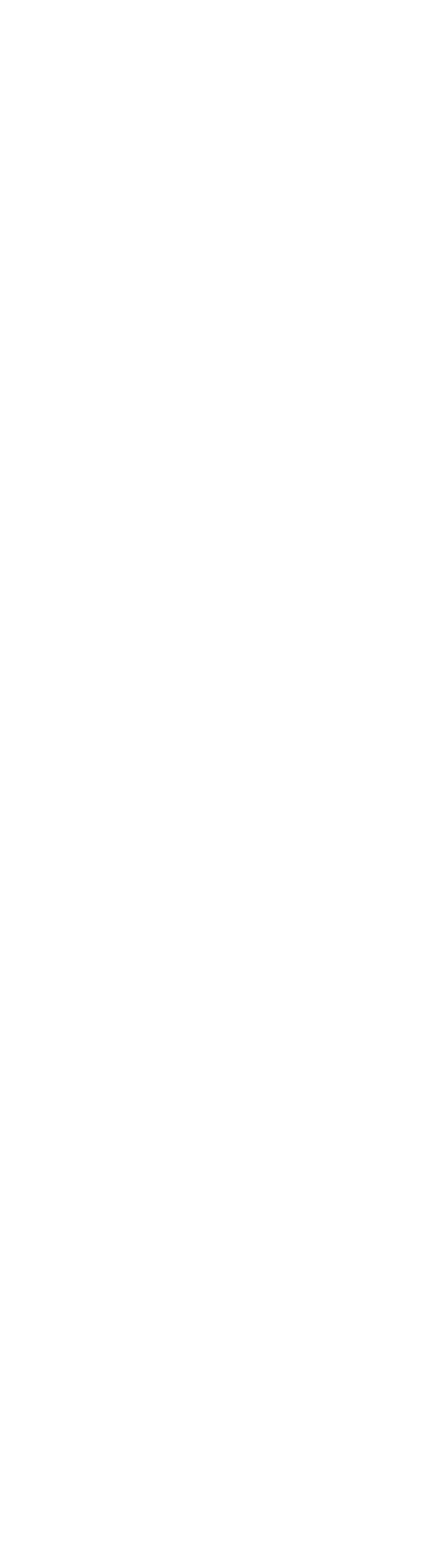 不虚此行