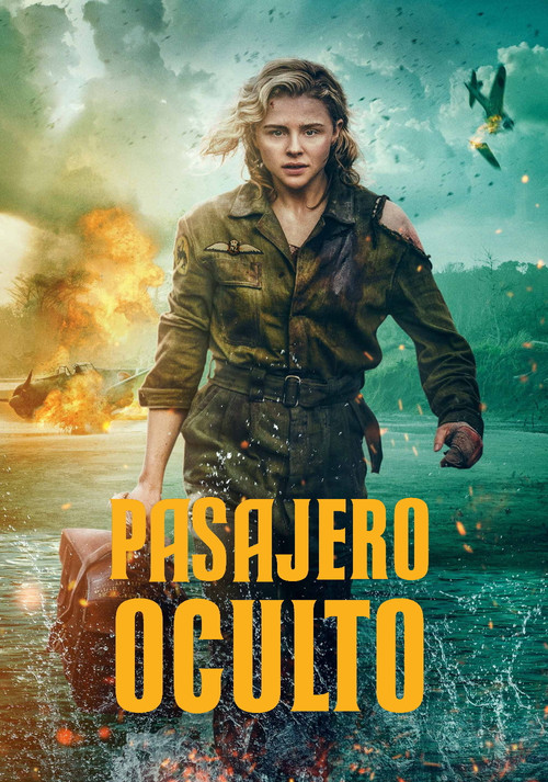 Shadow in the Cloud poster