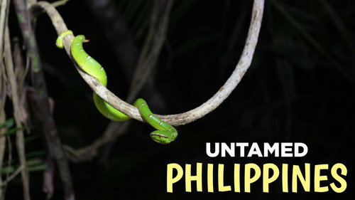 Untamed Philippines
