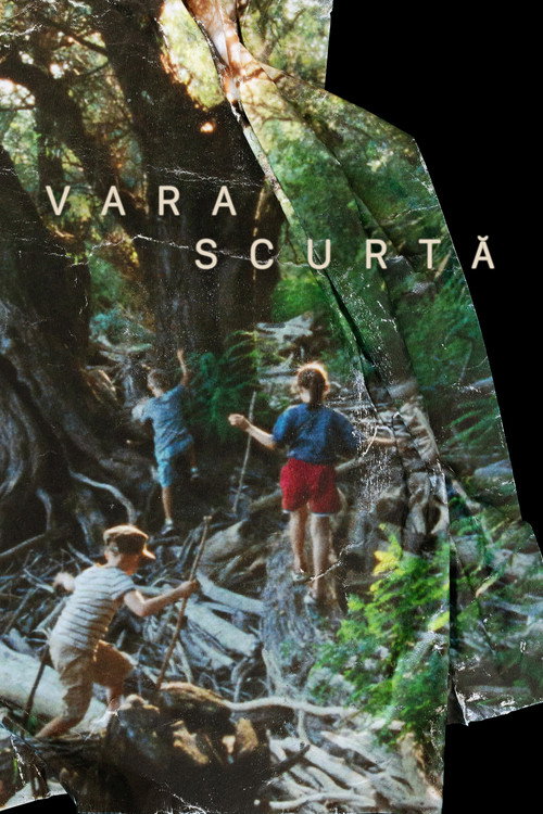 Vara scurtă