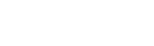 Next Day Air
