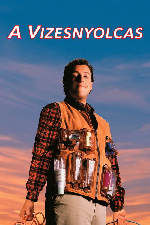The Waterboy poster