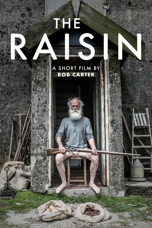 The Raisin (2017) poster