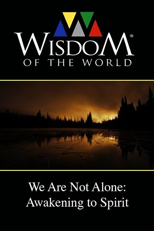 We Are Not Alone: Awakening to Spirit movie poster player