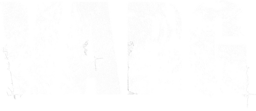 Varg