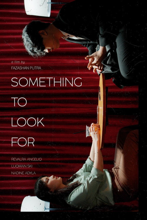 Something To Look For poster