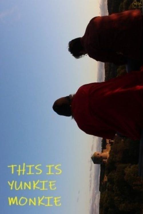 THIS IS JUNKIEMONKIE