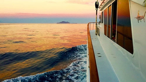 Inside Sportfishing: On the Edge Backdrop Blur