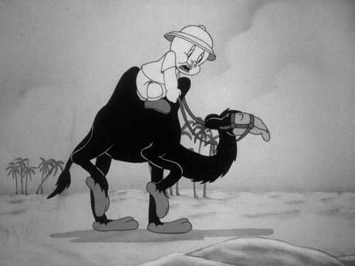 Porky in Egypt