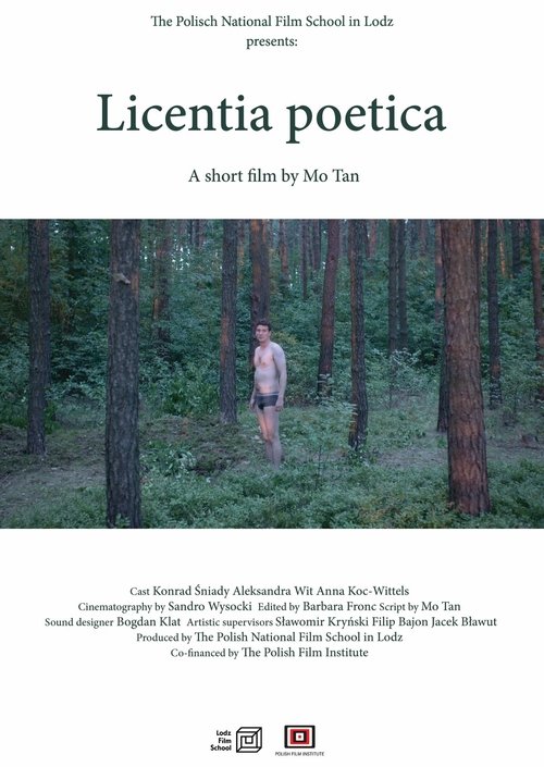 Licentia Poetica movie poster player