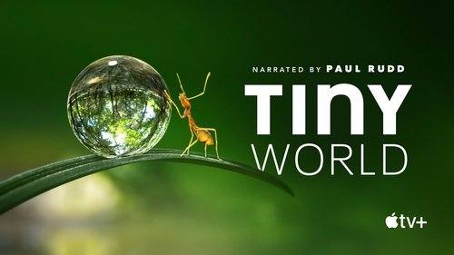 Tiny World