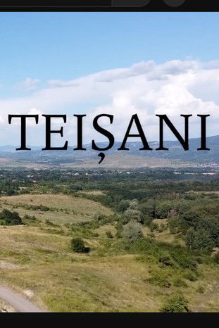 Made in Teișani poster