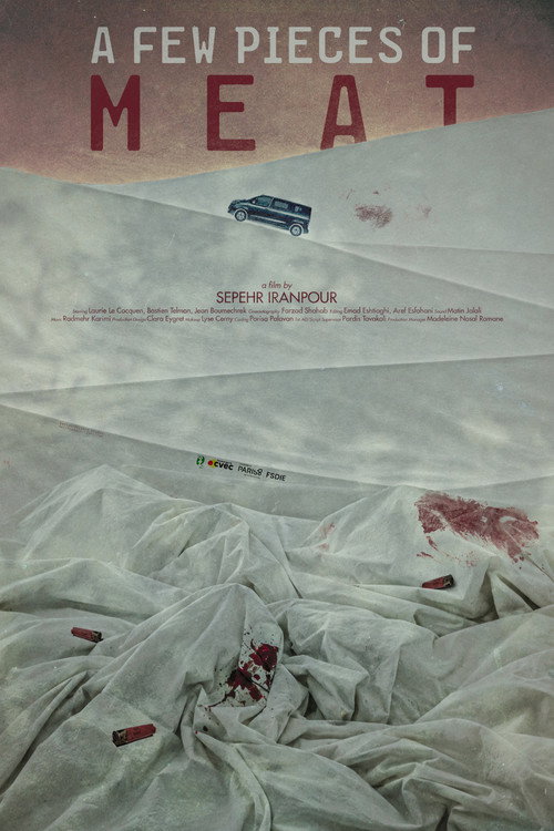A Few Pieces of Meat poster