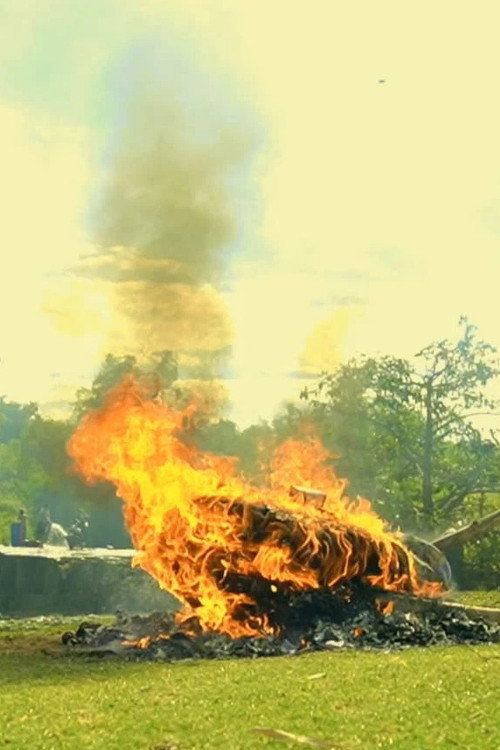 After It Runs Dry poster