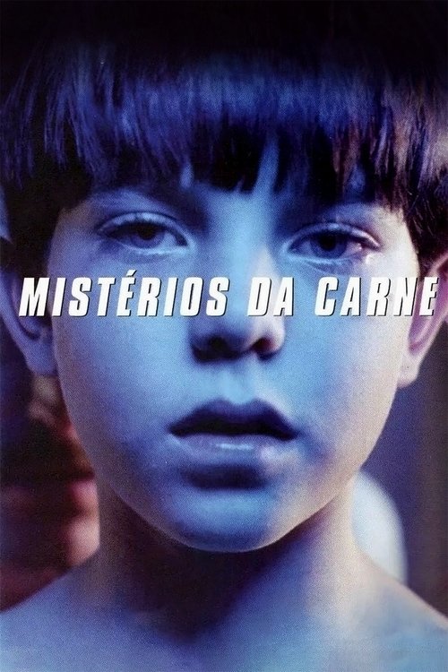 Mysterious Skin - Pele Misteriosa movie poster player