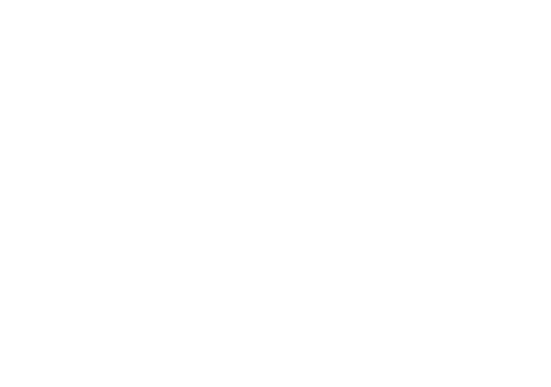 The Flash