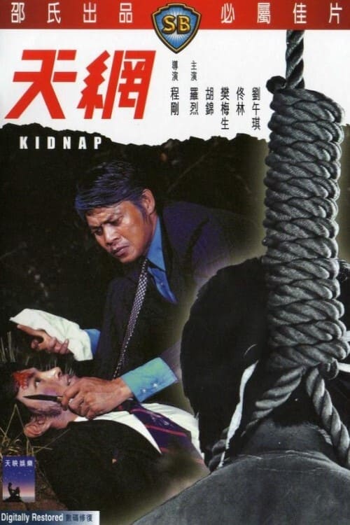 天網 (1974) poster