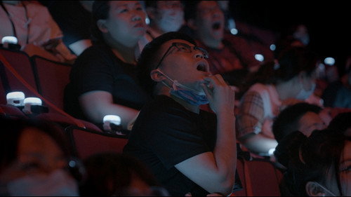 Born to Win: the King Pro League Saga