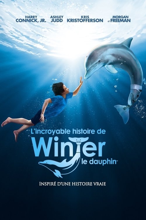 Dolphin Tale