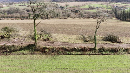 Le village qui voulait replanter des arbres