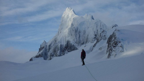 Riso Patron "Hasta las webas"