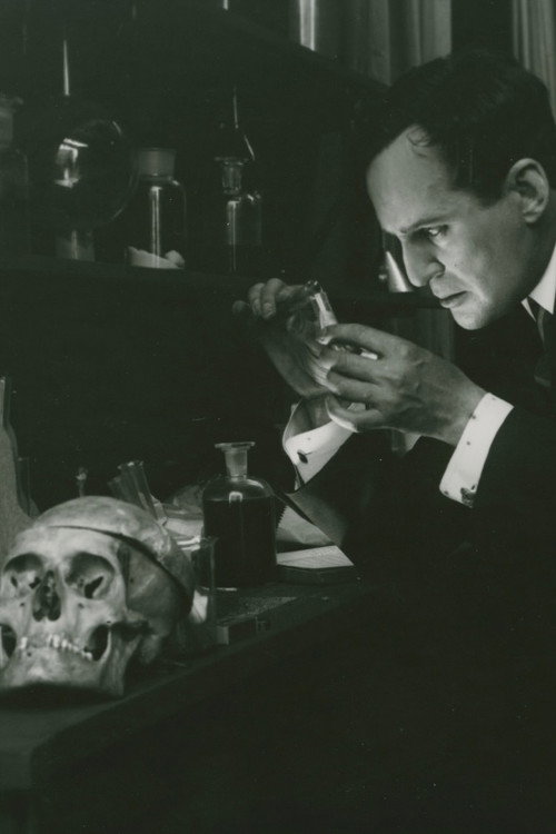 Skuggan av ett brott