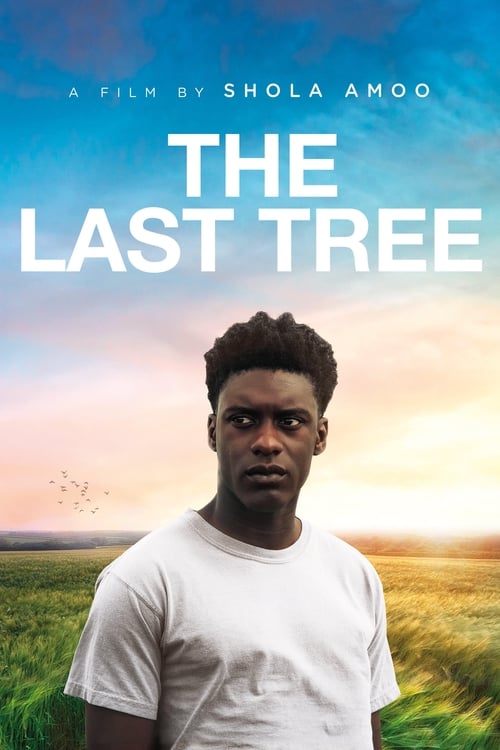 Grootschalige poster van The Last Tree